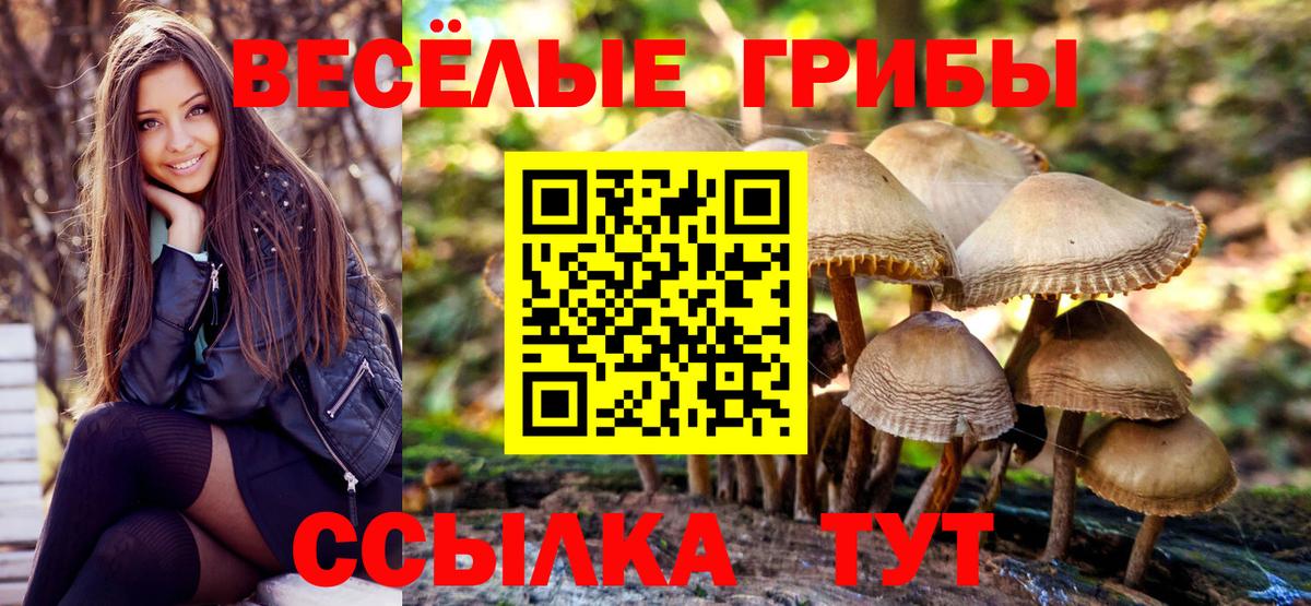 Галлюциногенные грибы ЛСД Камень-на-Оби
