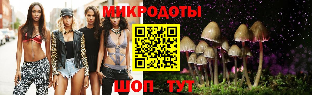 Псилоцибиновые грибы MAGIC MUSHROOMS  Вход с VPN  Камень-на-Оби  Псилоцибиновые грибы мицелий 